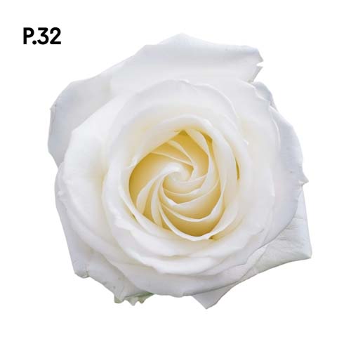 Přírodopis_motiv32.jpg Přírodopis_motiv32.jpg